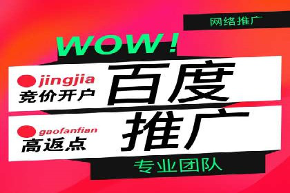 SEM外包在互联网行业的应用案例